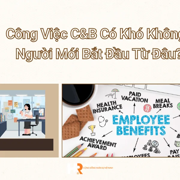 Công Việc C&B Có Khó Không? Người Mới Bắt Đầu Từ Đâu?