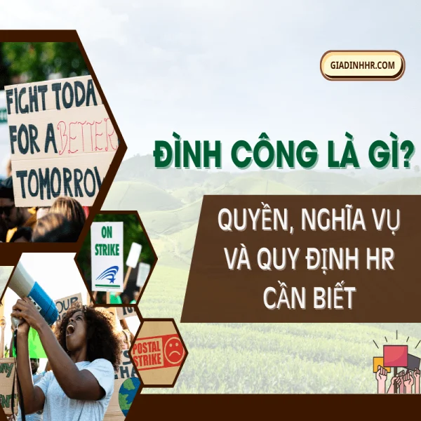 Đình Công Là Gì? Quyền, Nghĩa Vụ và Quy Định HR Cần Biết