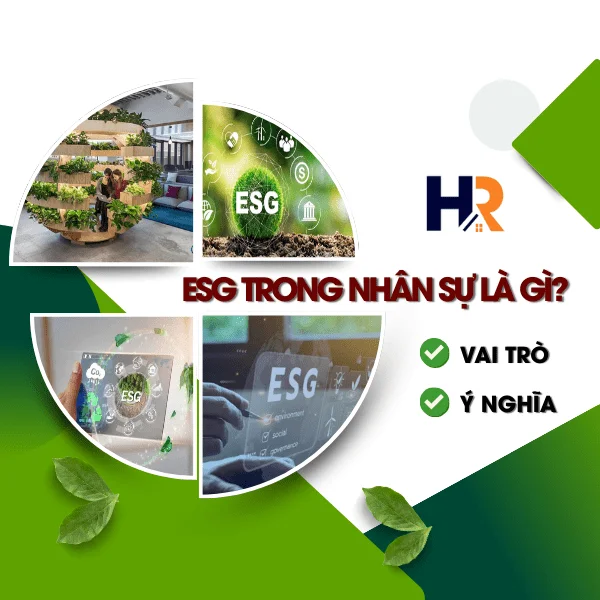 ESG Trong Nhân Sự Là Gì? Vai Trò & Ý Nghĩa Đối Với Doanh Nghiệp