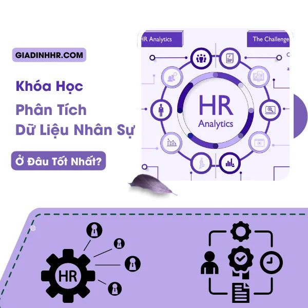 Khóa Học Phân Tích Dữ Liệu Nhân Sự Ở Đâu Tốt Nhất?