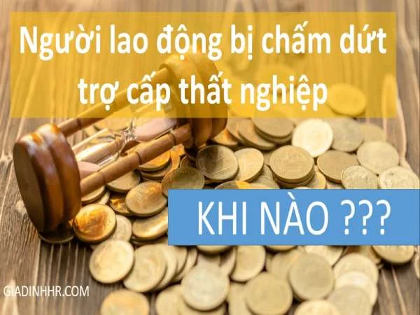 Người lao động bị chấm dứt trợ cấp thất nghiệp khi nào?