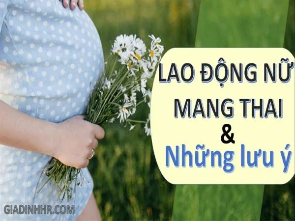 Lao động nữ mang thai và những lưu ý đối với doanh nghiệp