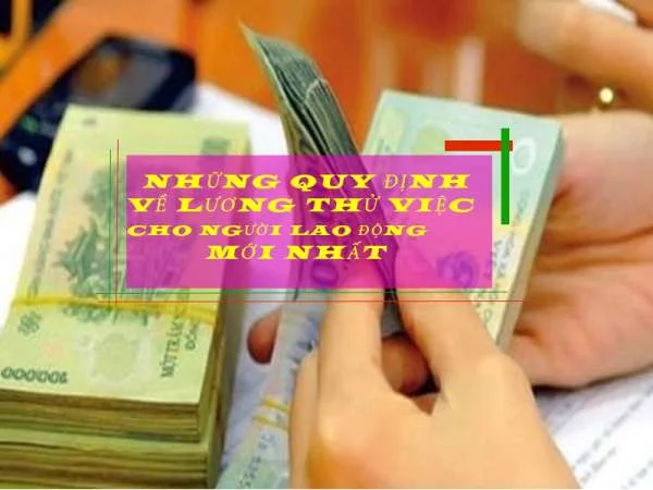 Những Quy Định Về Lương Thử Việc Cho Người Lao Động Mới Nhất