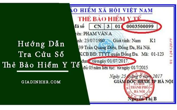 Hướng Dẫn Tra Cứu Số Thẻ Bảo Hiểm Y Tế (BHYT)