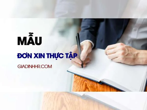 Mẫu Đơn Xin Thực Tập Chuẩn – Cách Viết Đơn Xin Thực Tập Mới Nhất