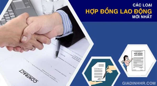 Các Loại Hợp Đồng Lao Động Mới Nhất