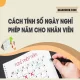cach-tinh-so-ngay-nghi-phep-nam-cho-nhan-vien-1
