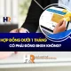 hop-dong-duoi-1-thang-co-phai-dong-bhxh-khong-600-x-600-px