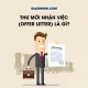 Thư Mời Nhận Việc (Offer Letter) Là Gì? Mẫu Chuẩn HR Mới Nhất