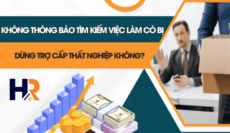 khong-thong-bao-tim-kiem-viec-lam-co-bi-dung-tro-cap-that-nghiep-khong-2