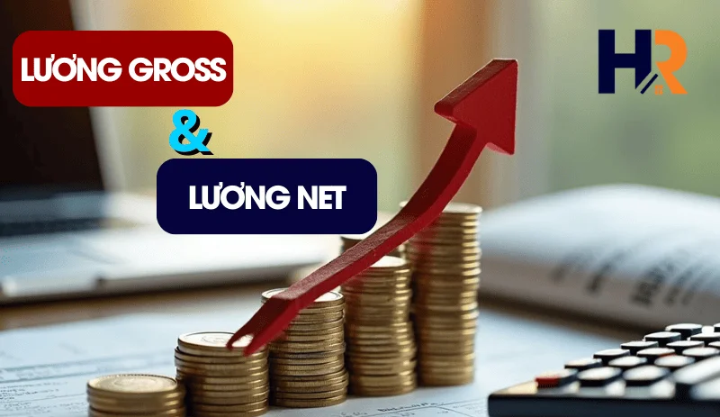 luong-gross-va-luong-net