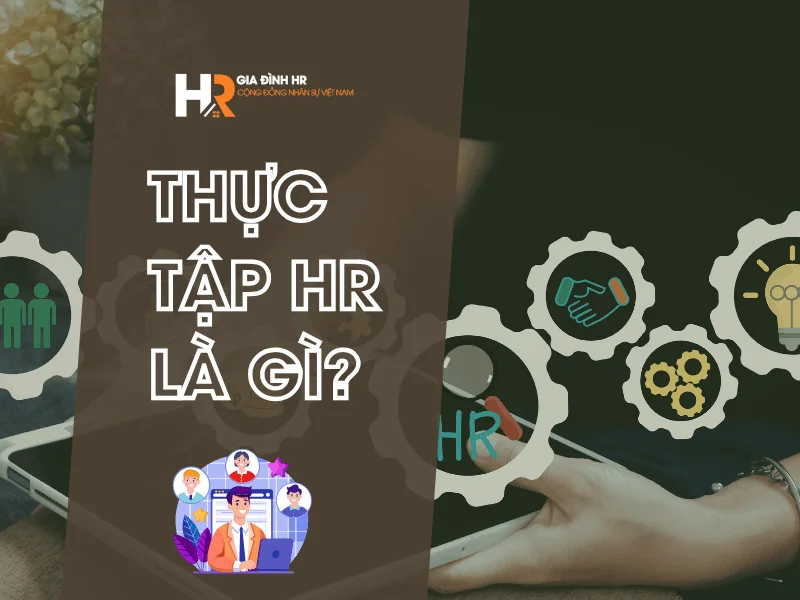 Thực tập HR là gì