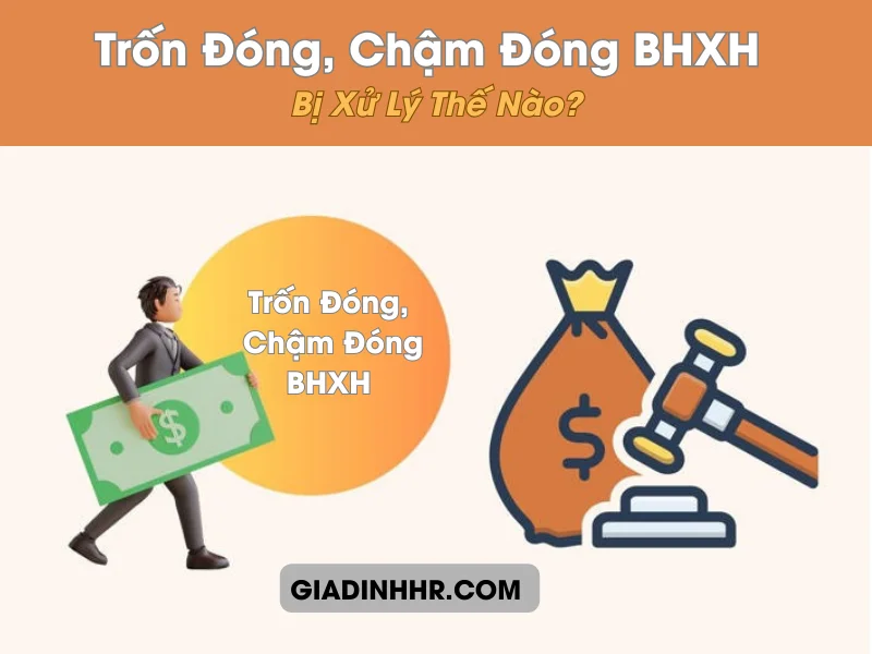 tron-dong-cham-dong-bhxh